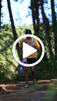 BIB:  <button type="button" onclick="openModal(26787974)" class="btn btn-primary btn-sm float-right" data-toggle="modal" data-target=".modal-high-quality">
                <i class="fa fa-download"></i> Download
                </button>